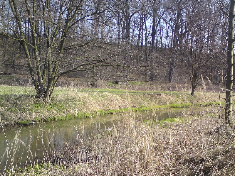 Alba-Castolovice-38.jpg - Pod nadjezdem v Častolovicích, v pozadí trať Týniště nad Orlicí – Letohrad