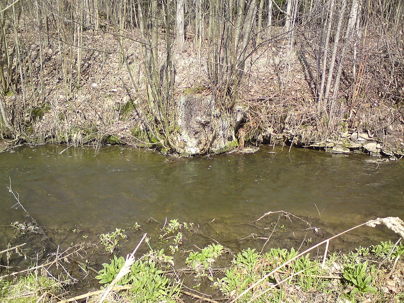 Alba-Lipa-nad-Orlici-26.jpg - Ano, Alba se chová jako přirozený tok, jeden břeh je podemílaný, druhý zanášený bahnem