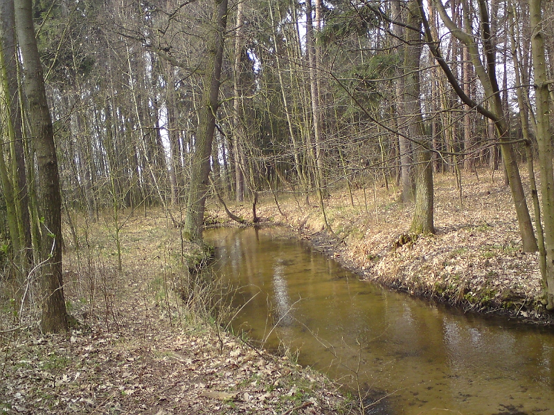 Alba-Trebechovice-34.jpg - Poklidný tok Alby v Třebechovicích