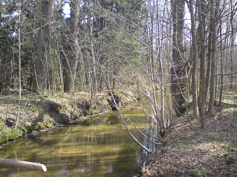 Alba-Tyniste-nad-Orlici-01.jpg - Alba přitéká od Dlouhé Louky k Týništi nad Orlicí
