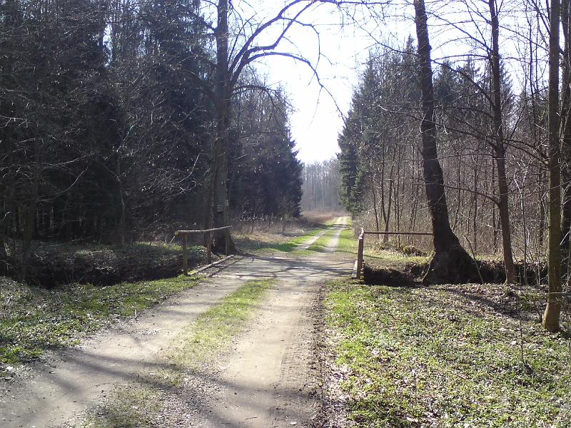 Alba-Tyniste-nad-Orlici-02.jpg - Nádherný pohled na most z pražců od Floriána k Vokliku