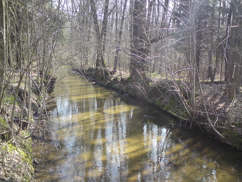 Alba-Tyniste-nad-Orlici-05.jpg - Alba tu má zvednuté břehy, hladina je místy výše, než okolní terén