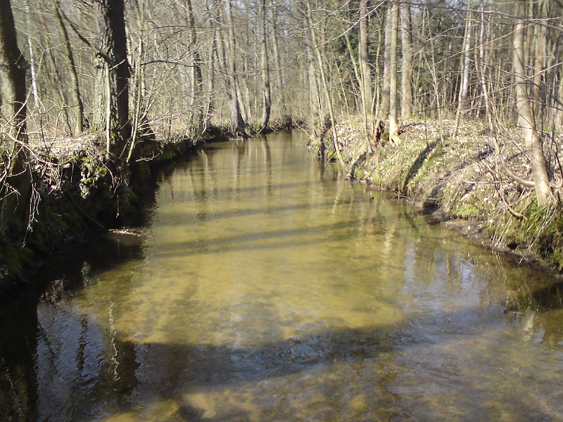 Alba-Tyniste-nad-Orlici-06.jpg - Dno Alby je ponejvíce písčité