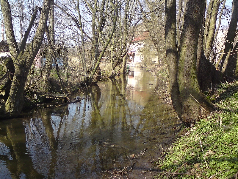 Alba-Tyniste-nad-Orlici-28.jpg - Alba již má blízko k mlýnu v Týništi nad Orlicí