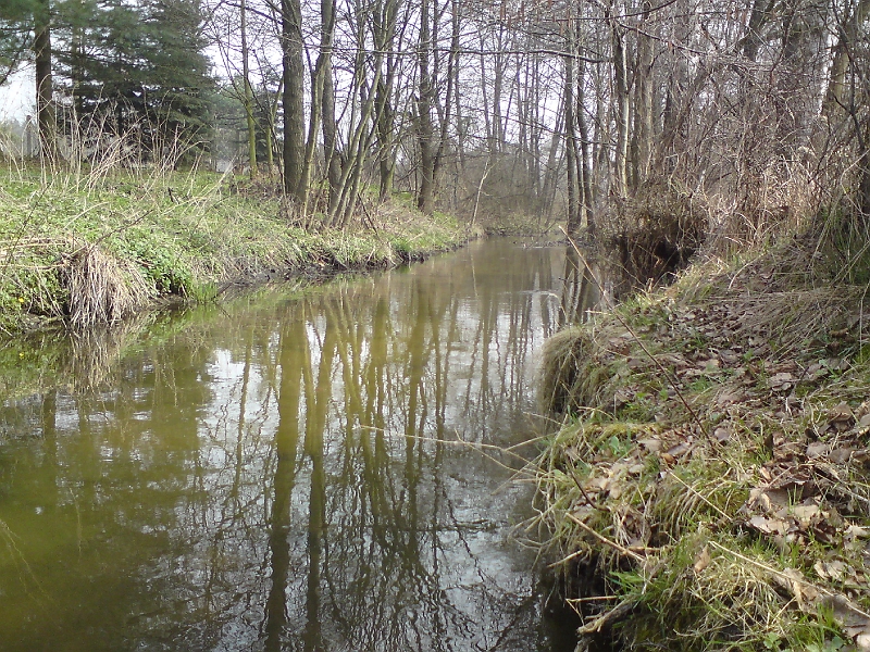 Alba-Tyniste-nad-Orlici-47.jpg - Zblízka vypadá pomalý tok Alby malinko jinak