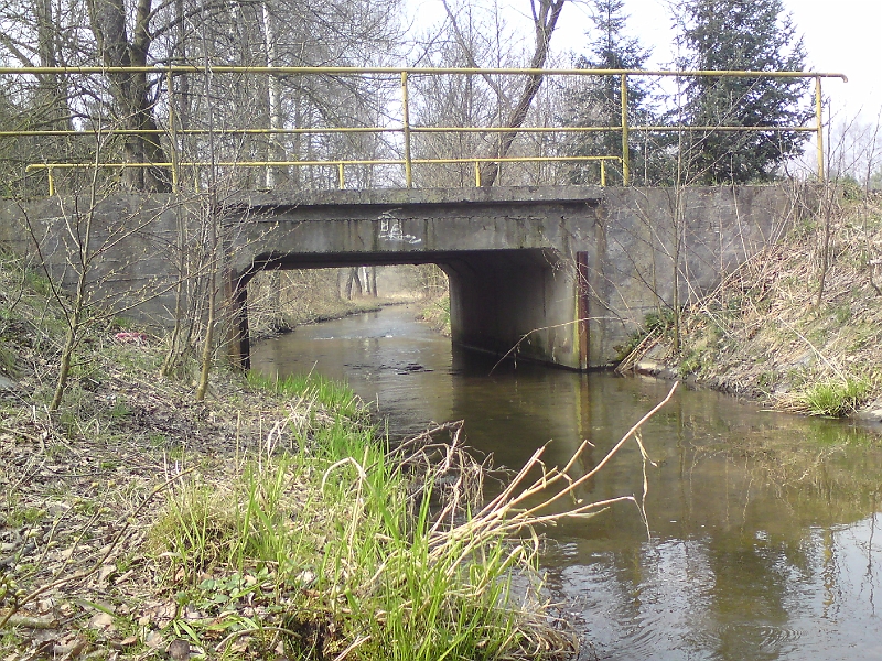 Alba-Tyniste-nad-Orlici-48.jpg - Alba již brzy opustí Týniště nad Orlicí
