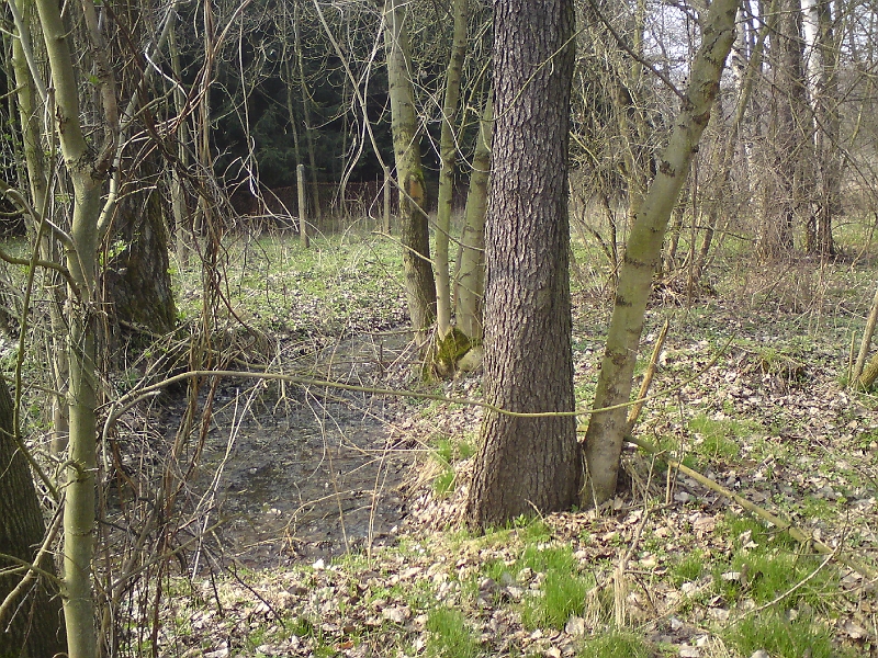 Alba-Tyniste-nad-Orlici-49.jpg - Stále je tu Týniště nad Orlicí a Alba, je jasné, že tady si musela kdysi udělat své slepé rameno