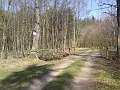 Alba-Tyniste-nad-Orlici-03