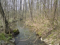 Alba-Tyniste-nad-Orlici-51
